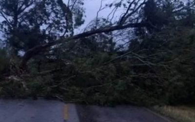 Vento de até 137 km/h causa estrago no Sul