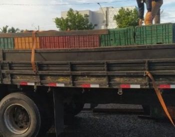 Ampére - PM apreende caminhão com mais de 4 toneladas de camarão argentino transportado sem refrigeração